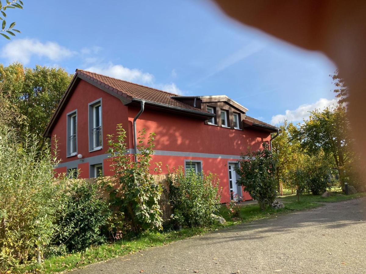 Urlaubsoase Ostsee Hohen Schoenberg Dış mekan fotoğraf