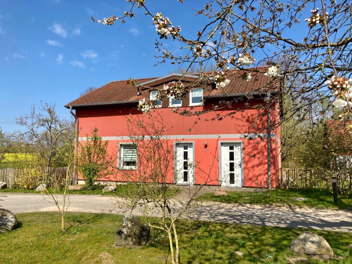 Urlaubsoase Ostsee Hohen Schoenberg Dış mekan fotoğraf