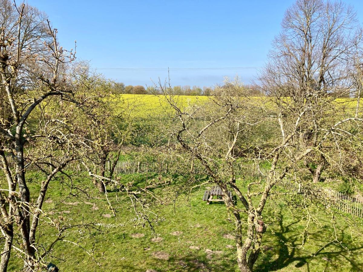 Urlaubsoase Ostsee Hohen Schoenberg Dış mekan fotoğraf