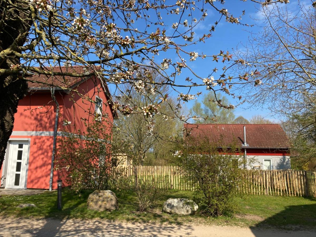 Urlaubsoase Ostsee Hohen Schoenberg Dış mekan fotoğraf